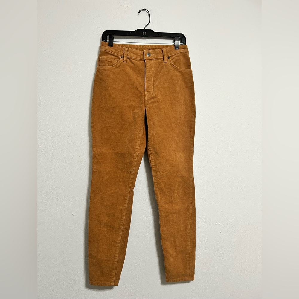 Patagonia Tan Corduroy Skinny Pants